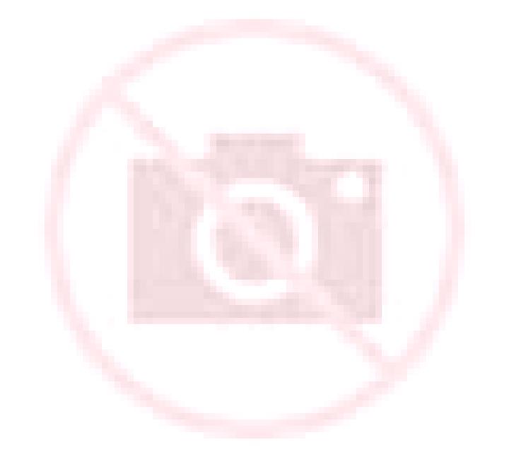 Abril Campos escort