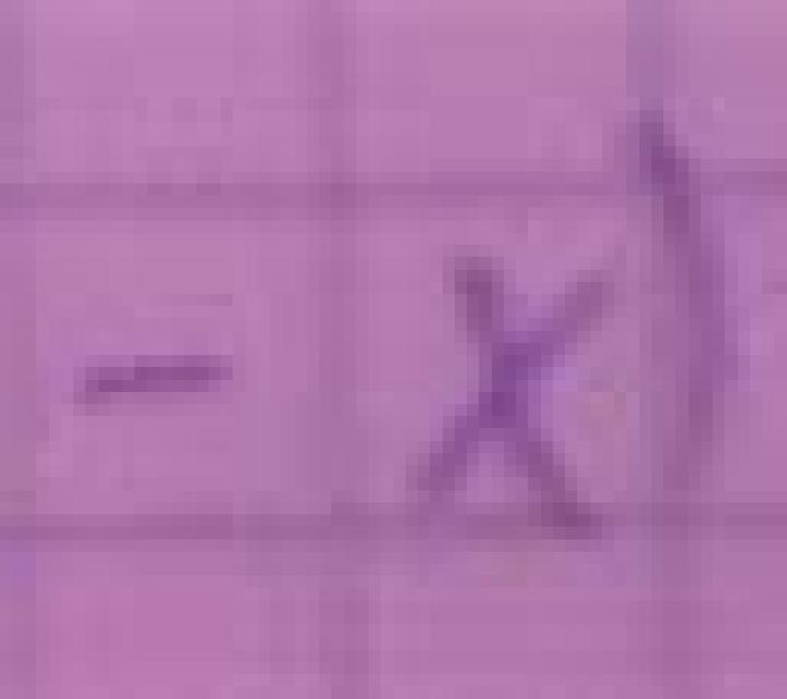 Abril Duenas escort