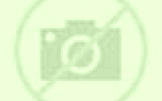 Abril Purchena escort