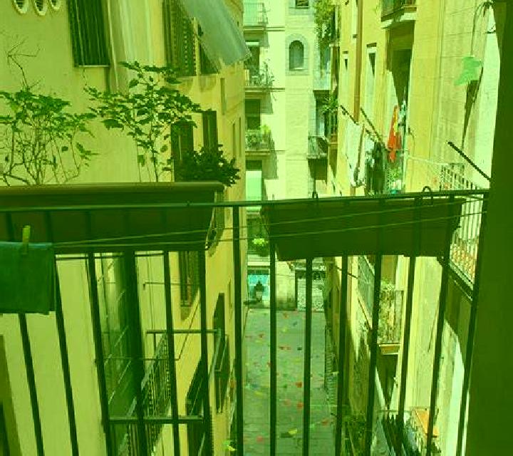 Alba 3 Camproviin escort