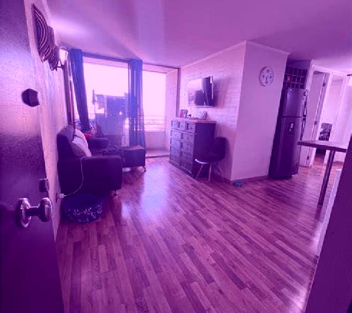 Alba Luna escort