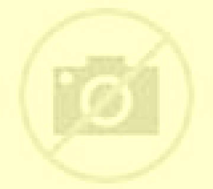 Amanda Buenavista del Norte escort
