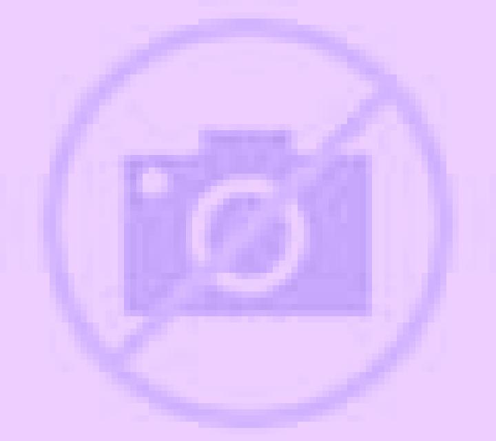 Amanda Castellnovo escort