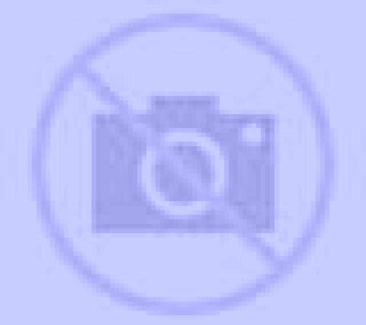 Amanda Hinojos escort