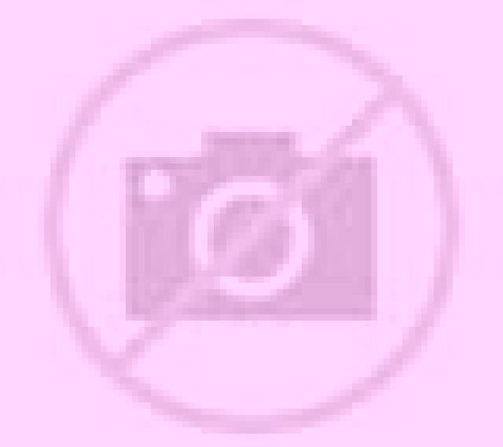 Amanda Llanca escort