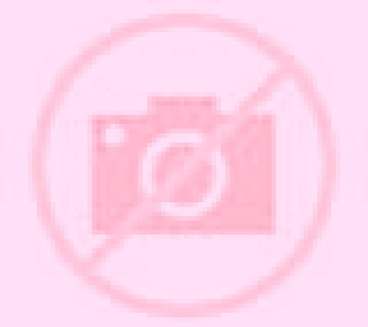 Amanda Matute escort