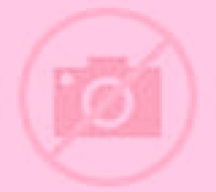 Amaya 3 Camas escort