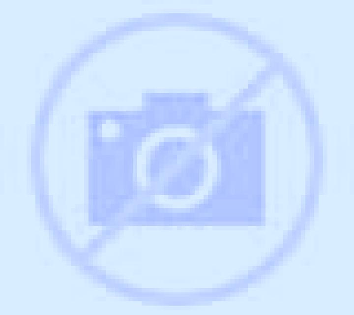 Amaya Errigoiti escort
