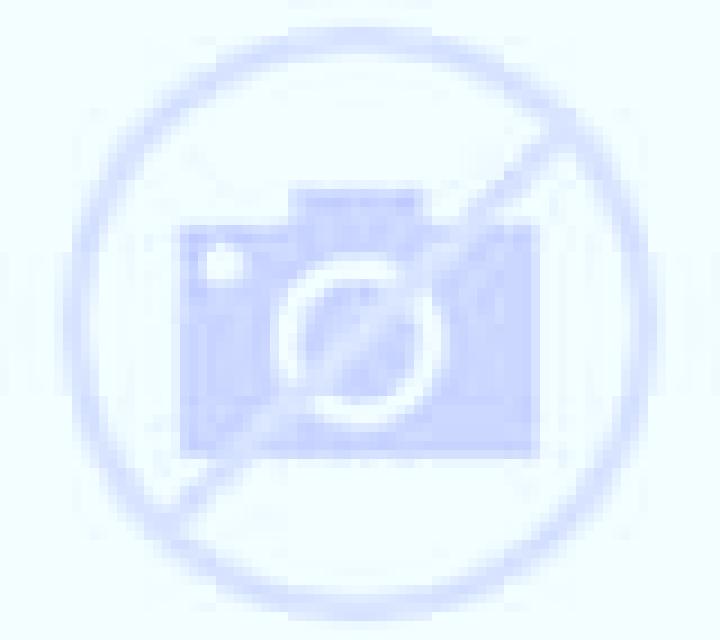 Andrea 2 Carral escort