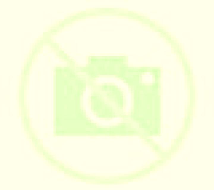 Andrea Anaya escort