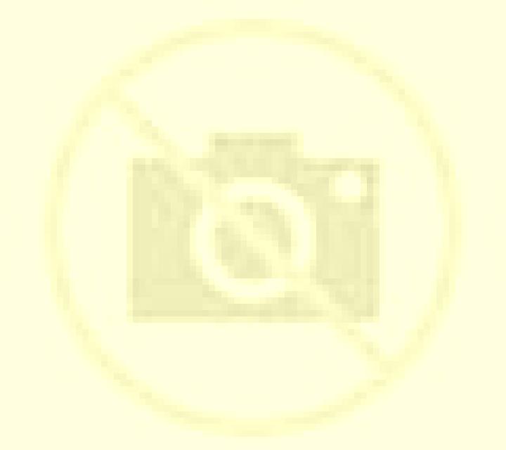 Andrea Establiments escort