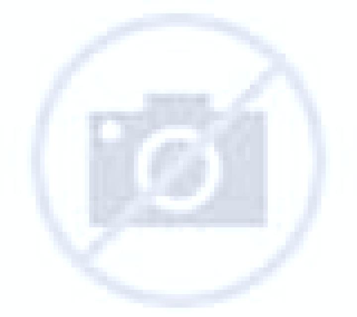 Andrea Orcasur escort
