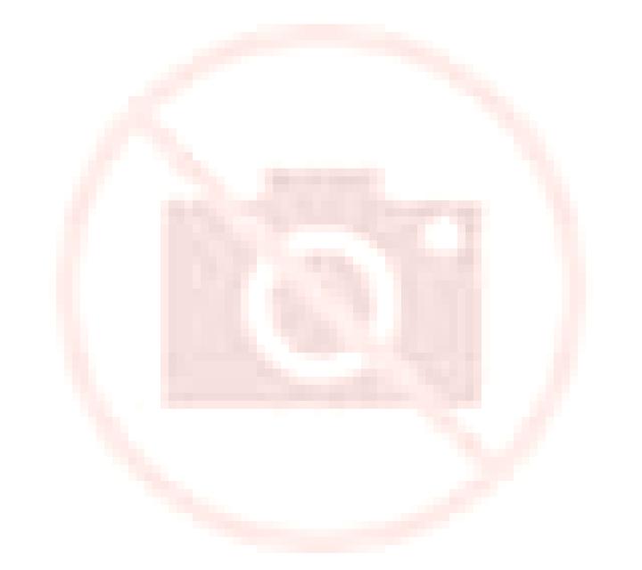 Andrea Peraltilla escort