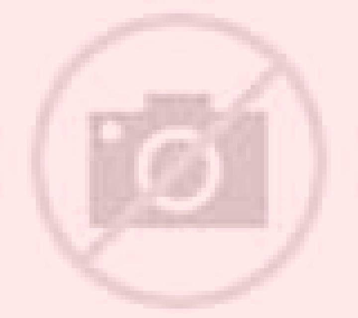 Andrea San Juan del Molinillo escort