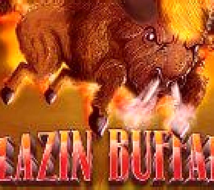 Andrea Santa Maria d Olo escort
