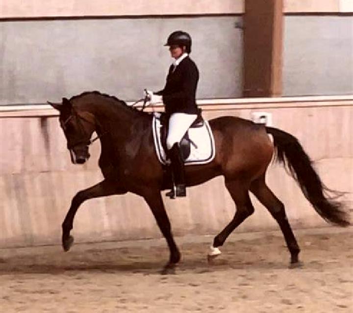 Antonella Urus escort