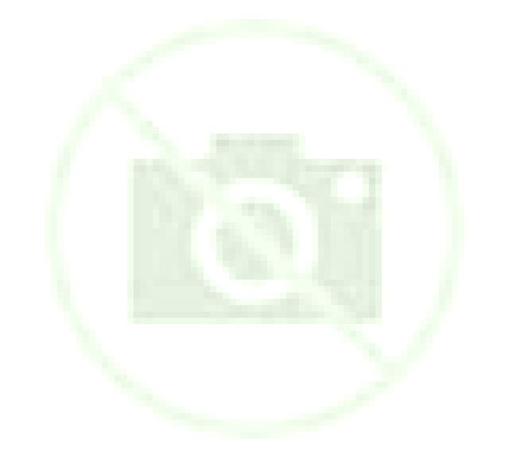 Beatriz 3 Guadassuar escort