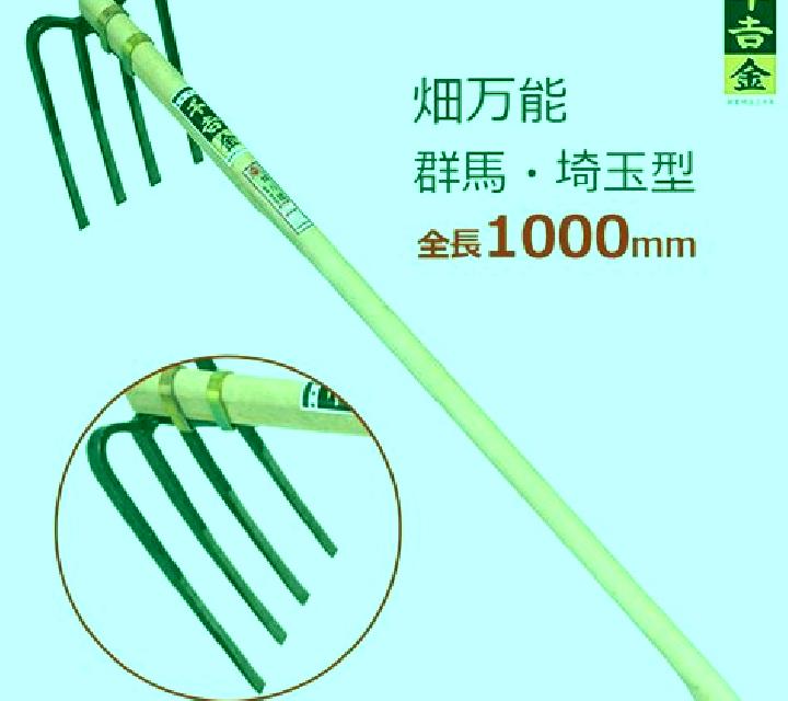 Blanca Gorafe escort