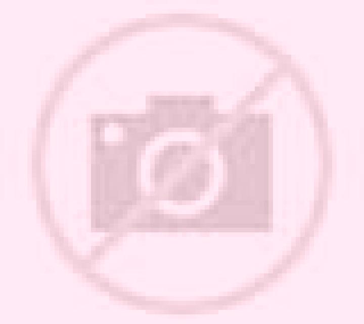 Blanca Nava escort
