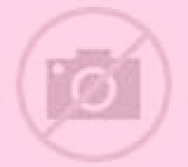 Blanca Rojales escort