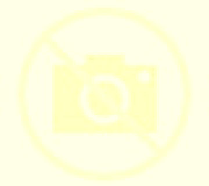 Camila 2 Penagos escort