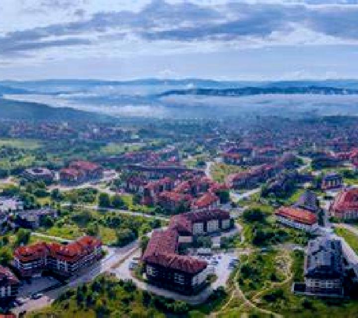 Carla 3 Desojo escort