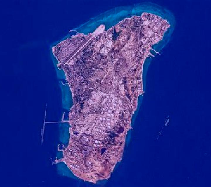 Carla Curtis escort