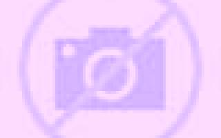 Carla Gallegos del Pan escort