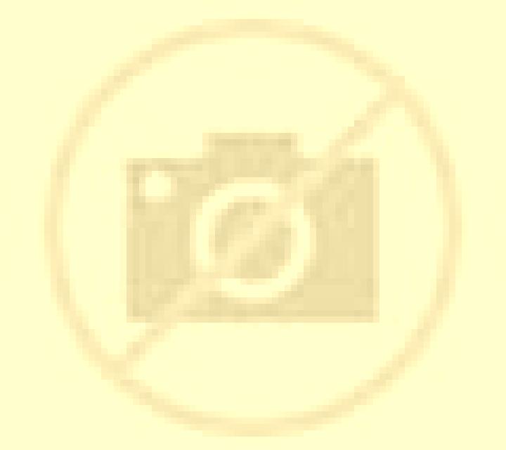 Carla Menarguens escort