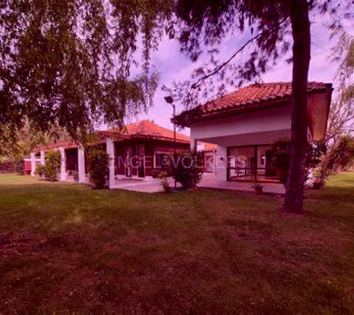 Carmen Casas de Don Pedro escort