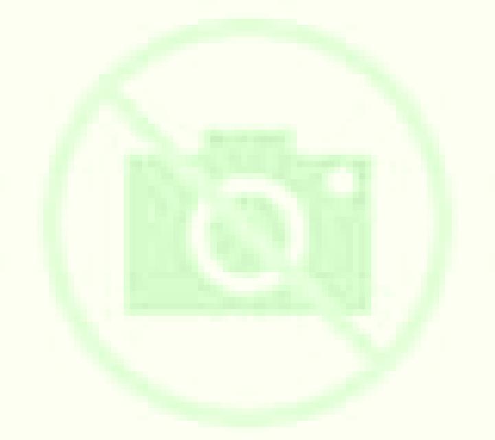 Carmen Daimus escort