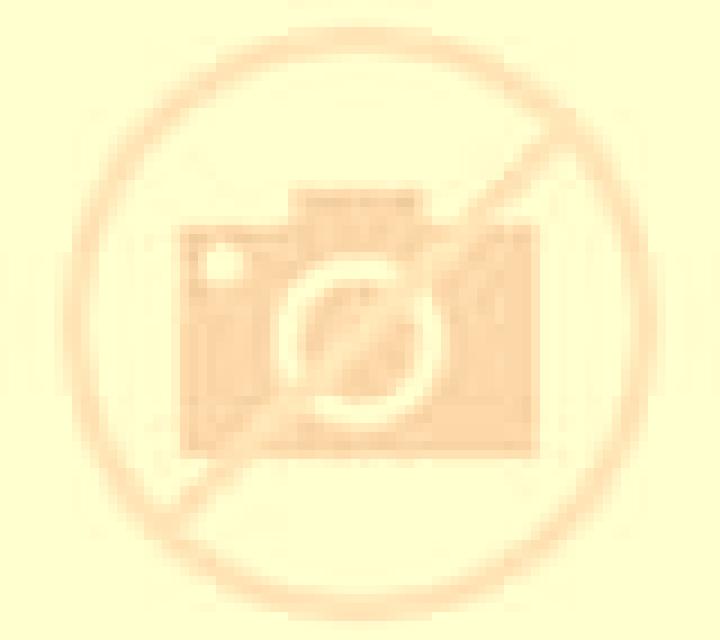 Carmen San Fermin escort