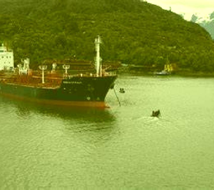Cayetana 3 Velamazan escort