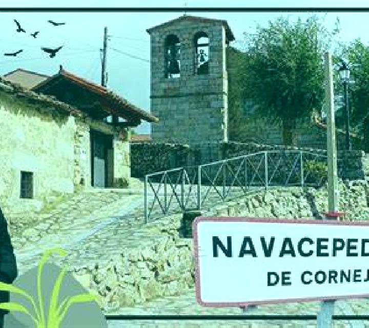 Cayetana Bustillo del Paramo escort