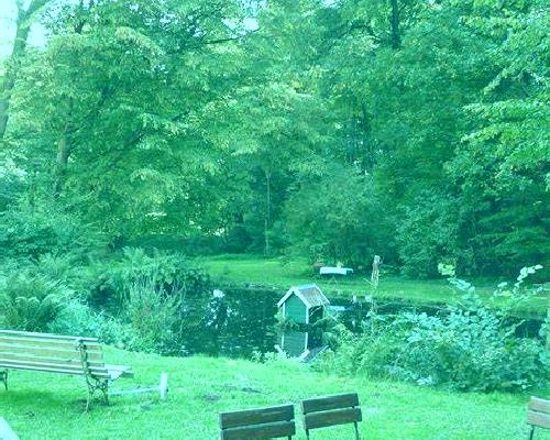 Cielo 2 Alforque escort