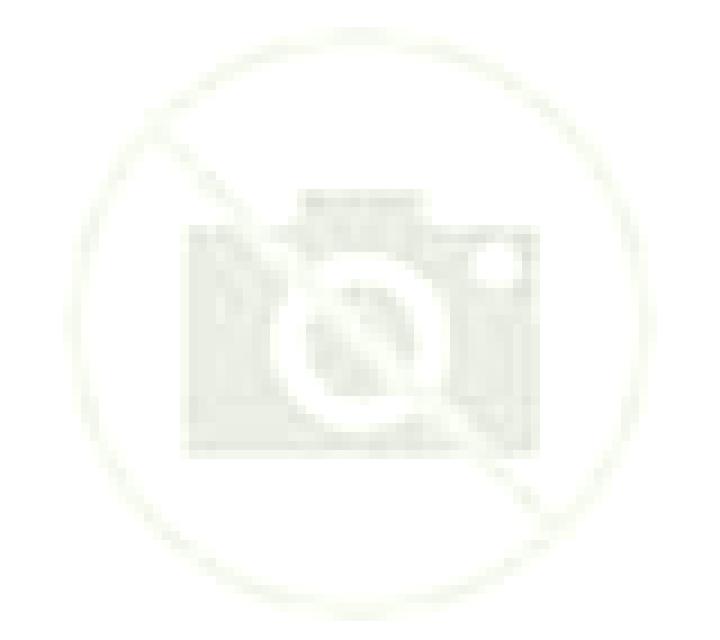 Cristina Burjassot escort