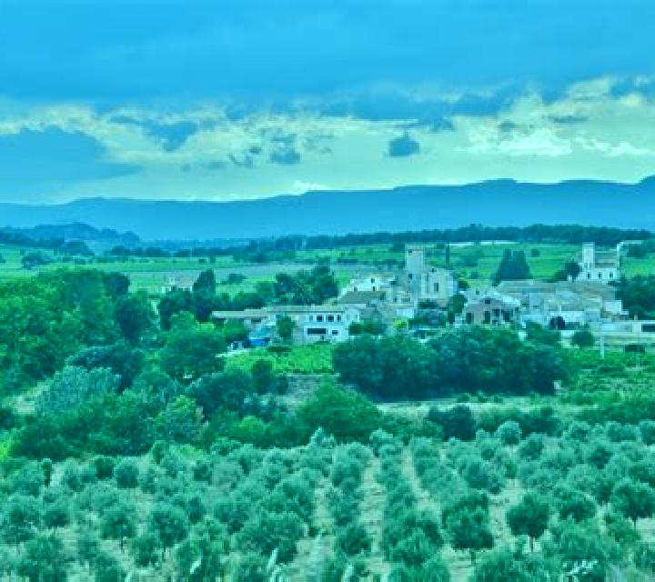 Diana 2 Barbolla escort