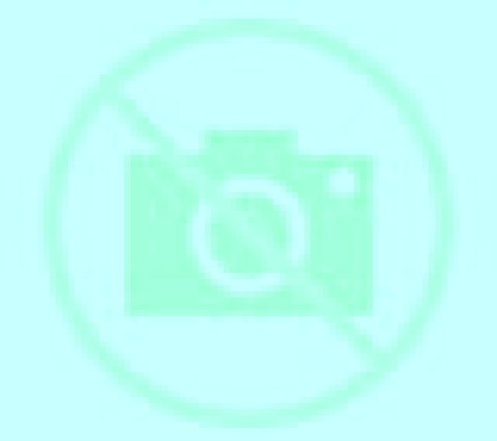 Diana 3 Adobes escort