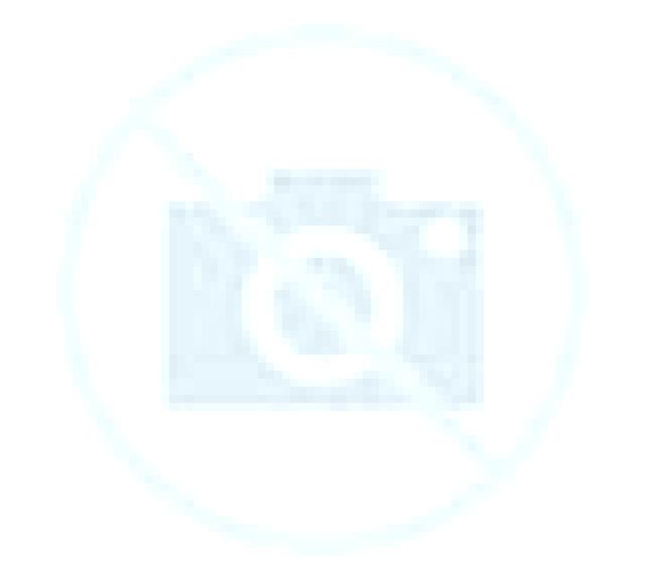 Diana Goizueta escort