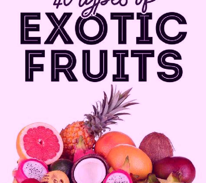 Diana les Preses escort