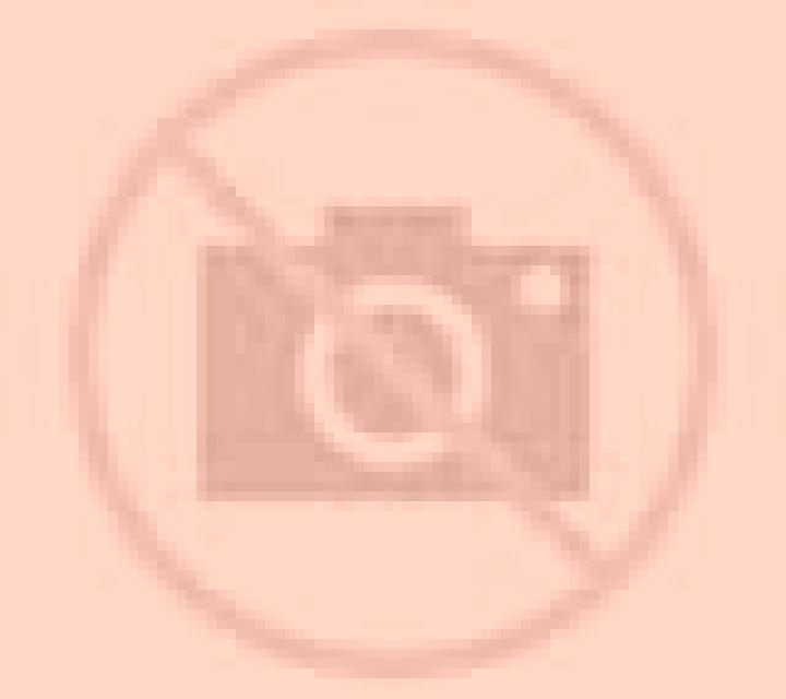 Diana Mino escort