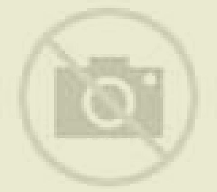 Elena 3 Los Gigantes escort