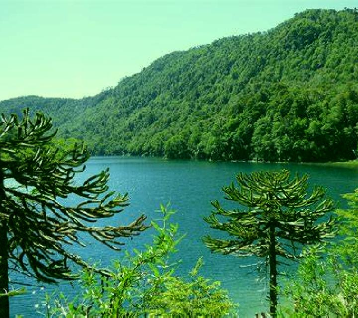 Elena Escucha escort