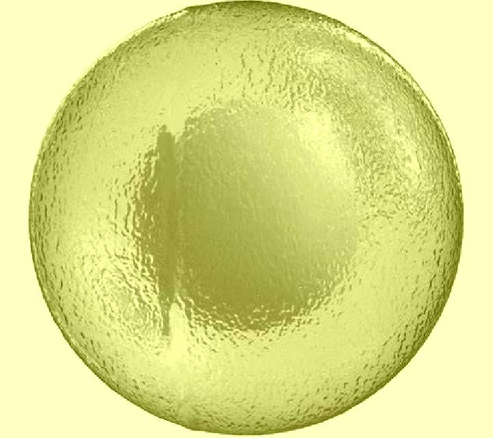 Elena Penaranda de Bracamonte escort