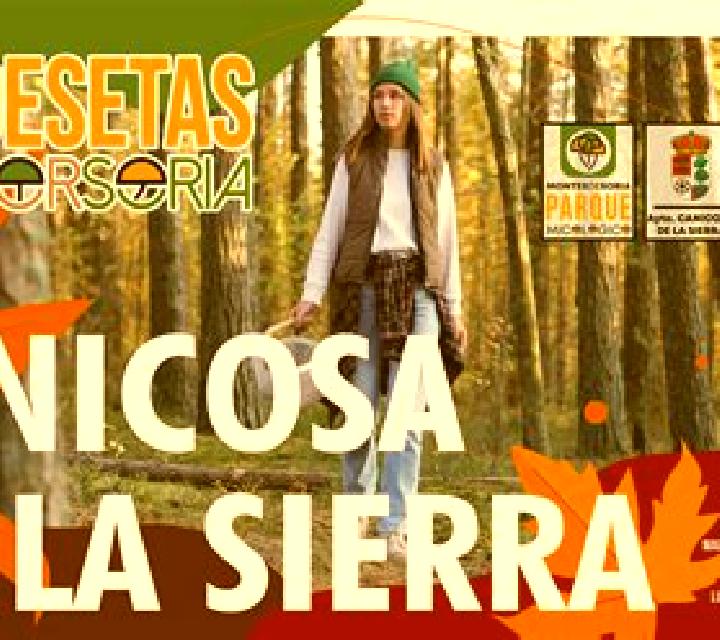 Estrella 2 Cabeza del Caballo escort