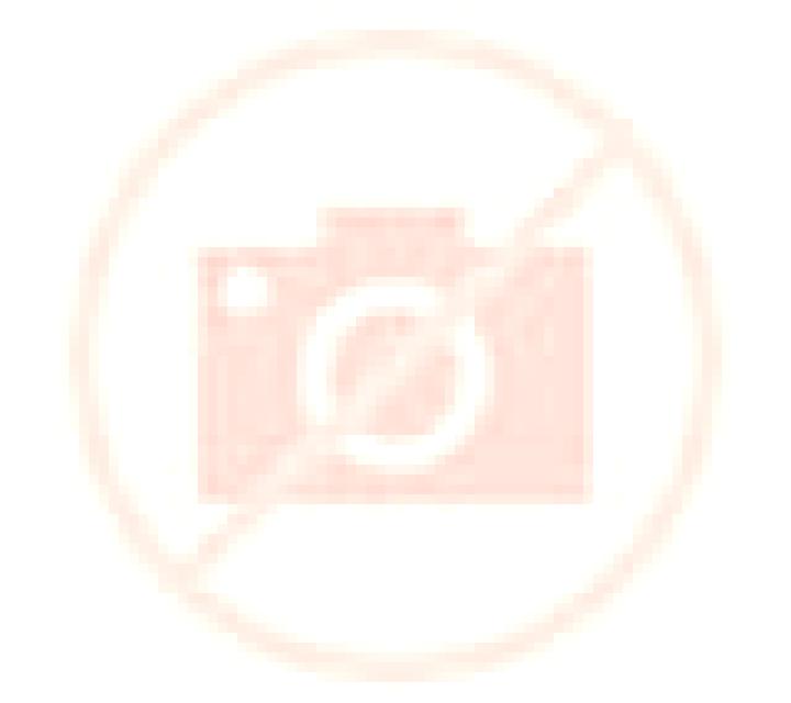 Florencia 3 Tordellego escort