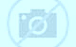 Gabriela Villavelayo escort