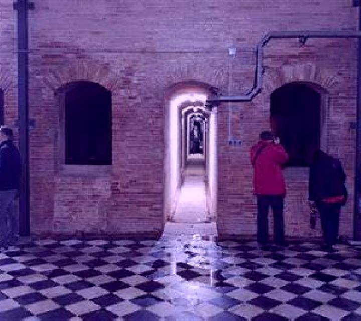 Irene 3 Ciadoncha escort