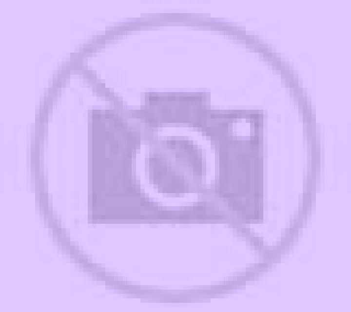 Isabela Sant Andreu escort