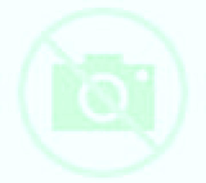 Isabella Cortes de Pallas escort
